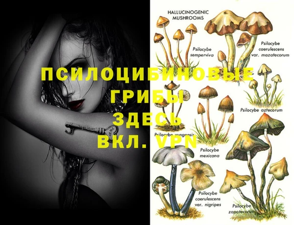 альфа пвп VHQ Богданович