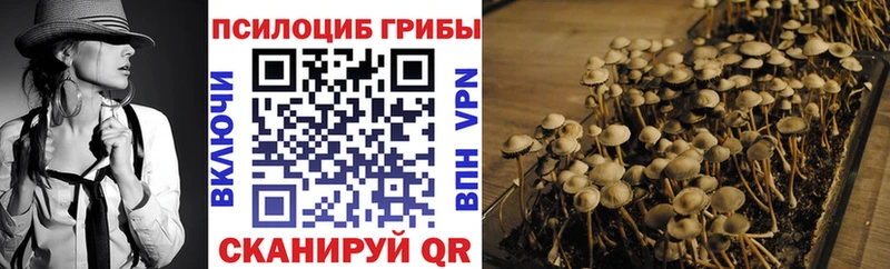 мориарти клад  Надым  Псилоцибиновые грибы Psilocybe  как найти закладки 