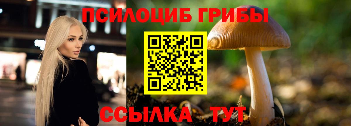 Галлюциногенные грибы мицелий Надым